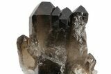 Dark Smoky Quartz Crystal Cluster - Brazil #104087-2